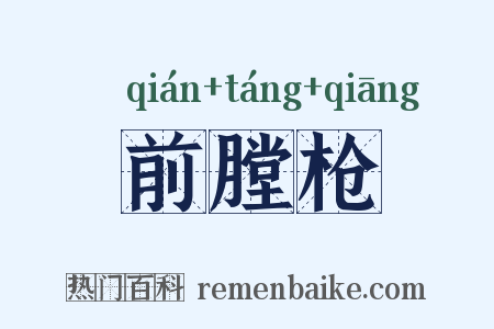 前膛枪是什么意思的图片